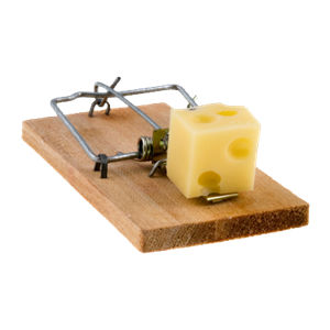 Mouse trap PNG-28461